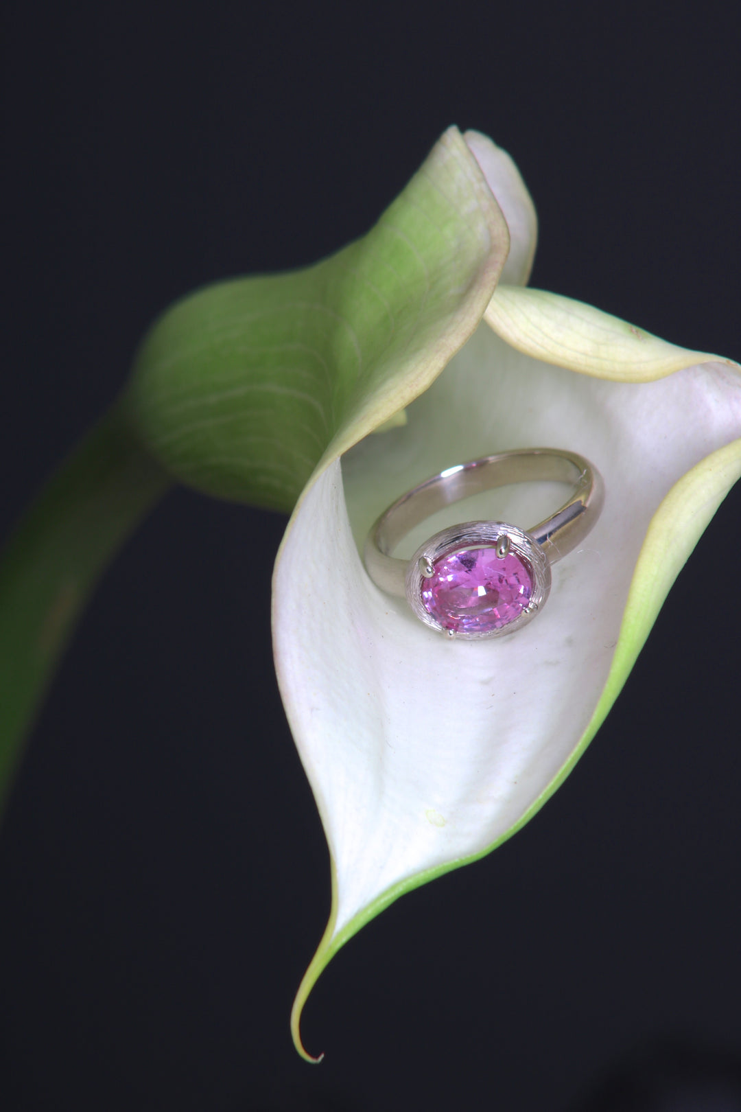 Pink Sapphire and White Gold Ring (09379)