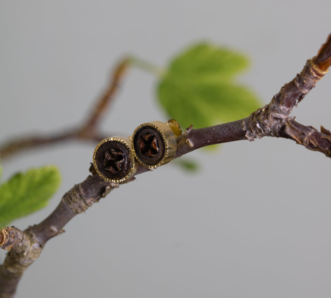 Eucalyptus Seed Stud Earrings (B689)