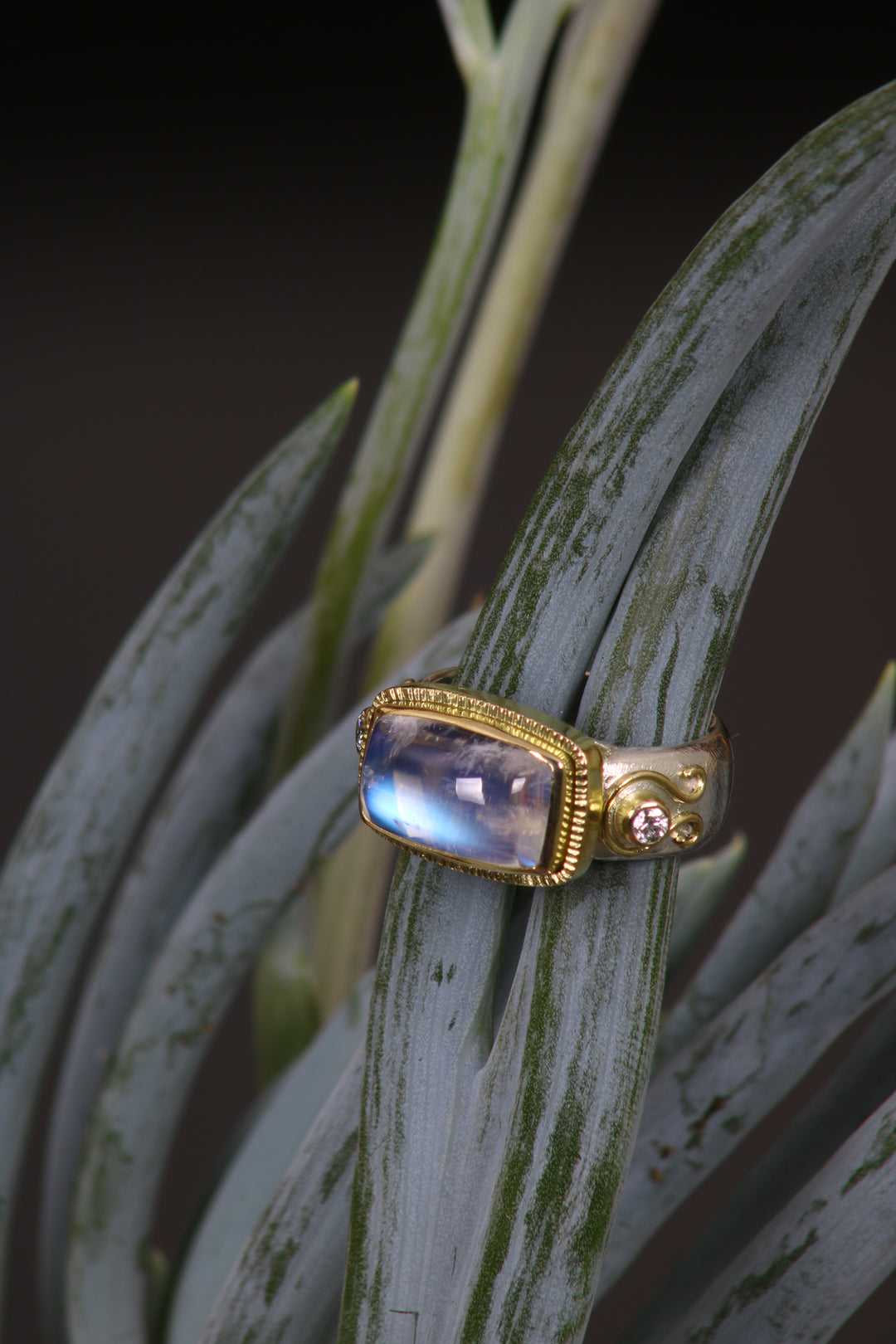 Moonstone Mixed Metal Ring (B420)