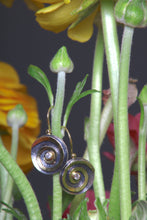 Load image into Gallery viewer, Mixed Metal Swirl Earring (08951)
