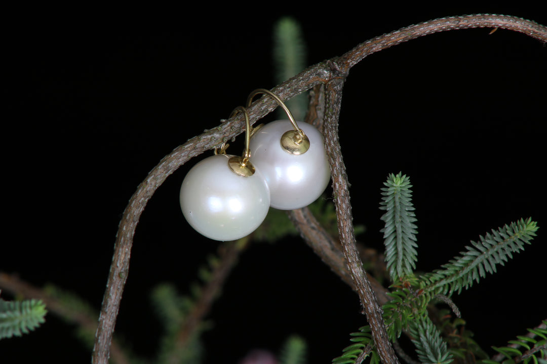 Fresh Water Pearl Earrings (09993)