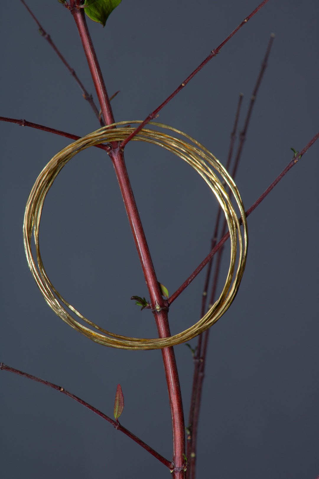 Multi-Hoop Bracelet (B468)