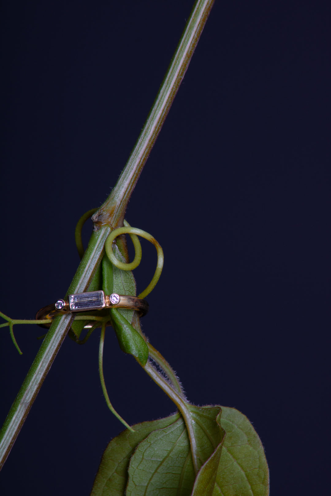 Diamond Baguette and Gold Ring (B491)