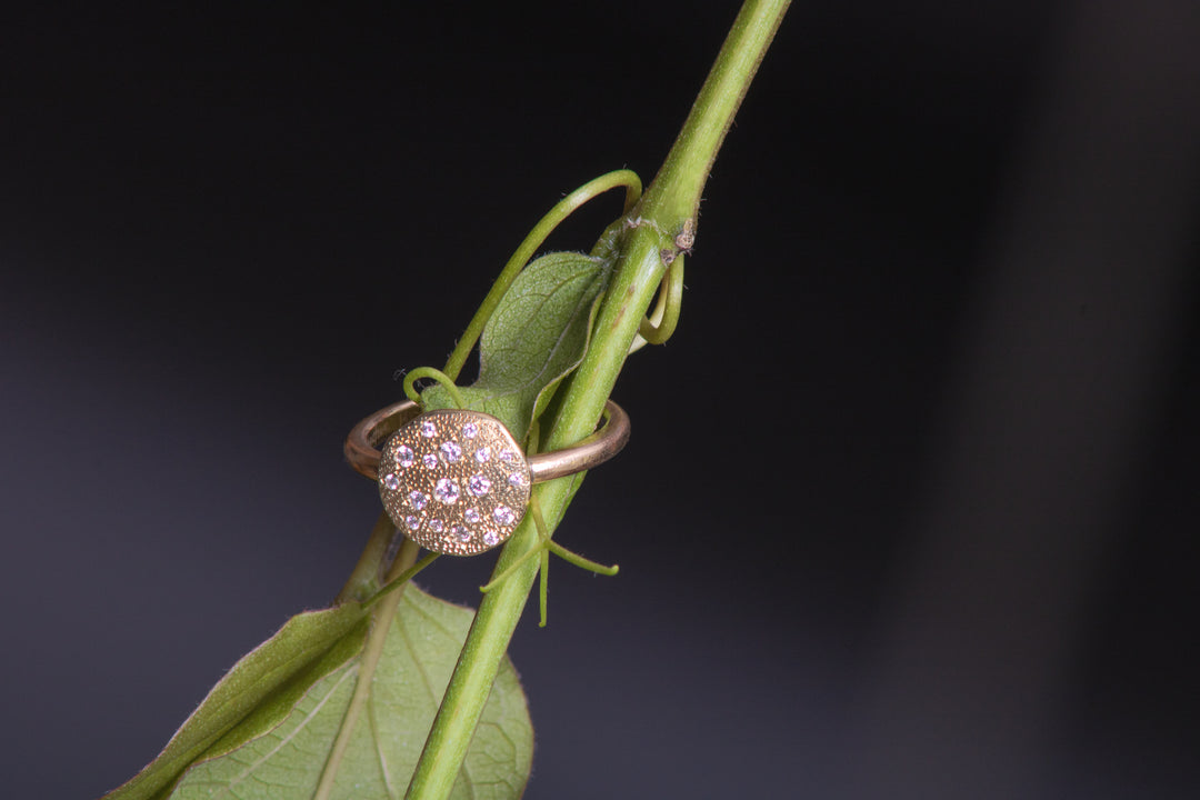 Flat Disk Ring with Scattered Diamonds (B495)