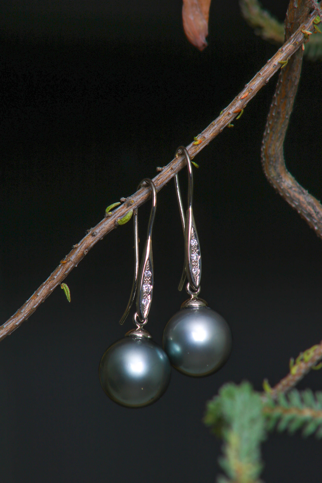 White Gold and Tahitian Pearl Earrings (B220)