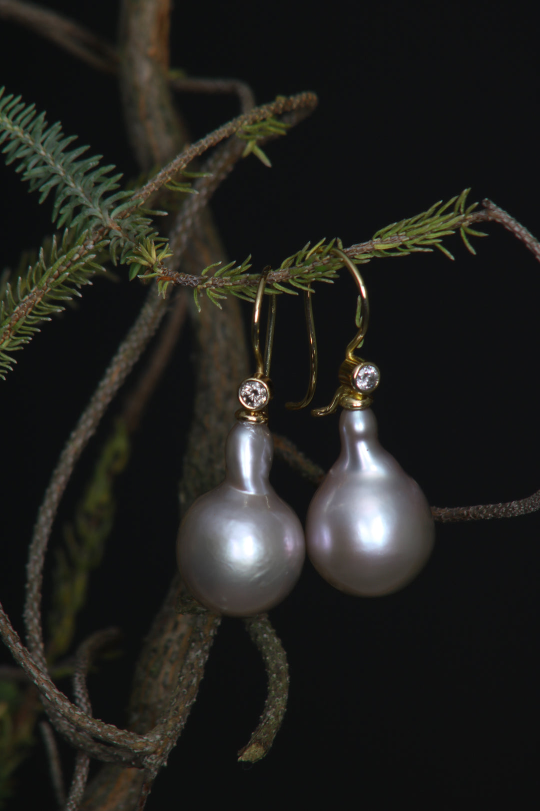 Pear Shaped Fresh Water Pearl Earrings (B229)
