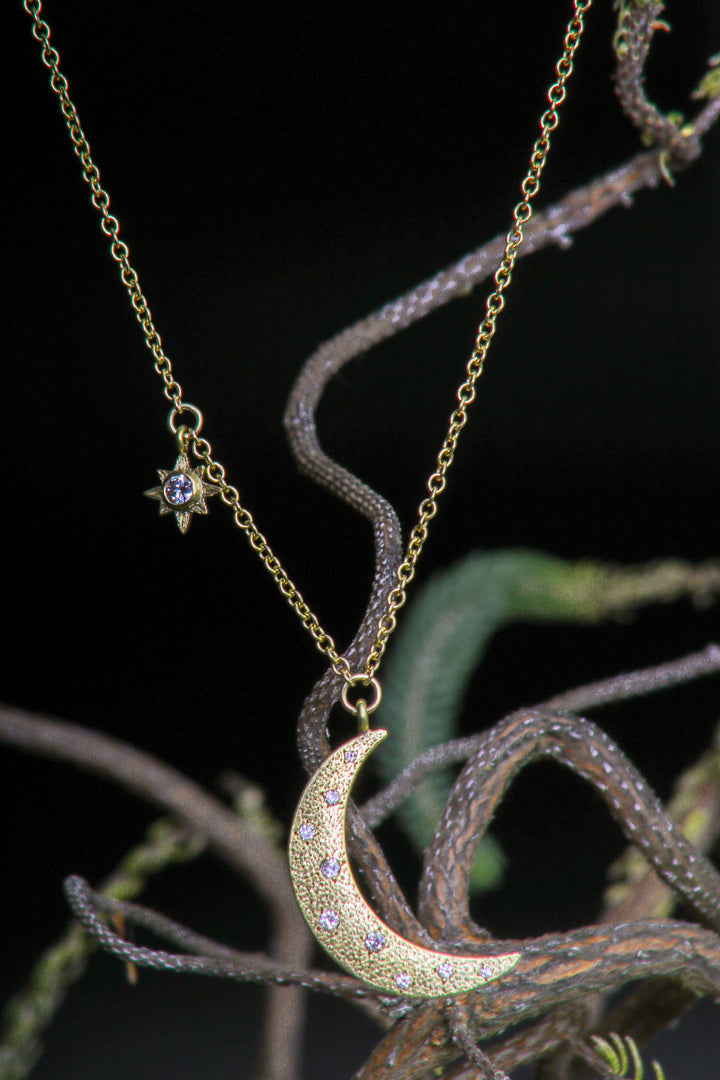 Crescent Moon and Star Necklace (B405)