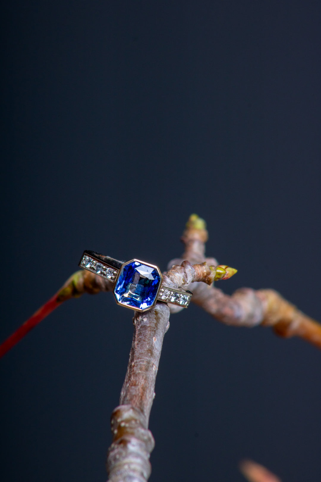 Sapphire and Diamond White and Yellow Gold Ring (B503)