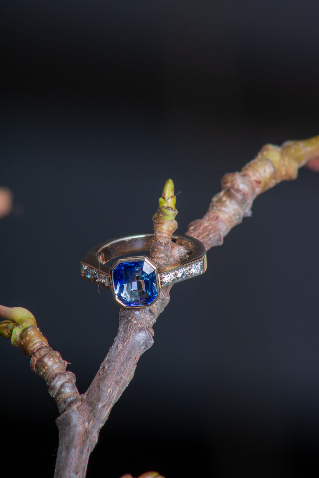 Sapphire and Diamond White and Yellow Gold Ring (B503)