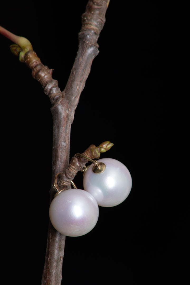 Pearl Earrings (B505)