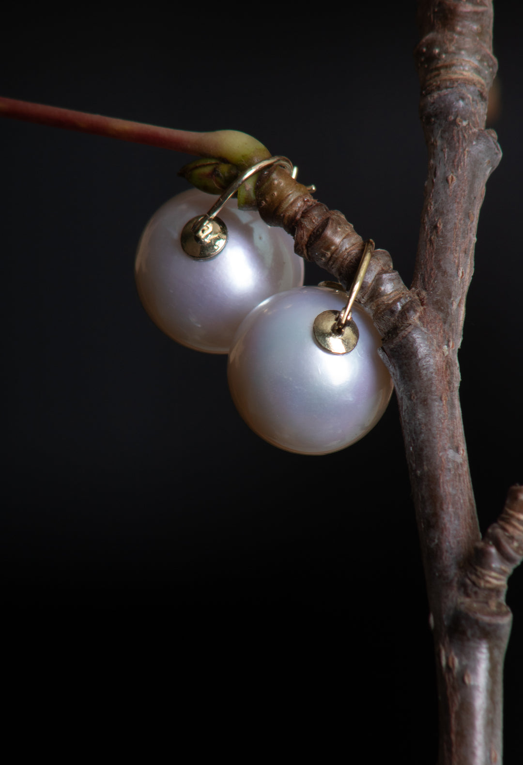 Pearl Earrings (B505)