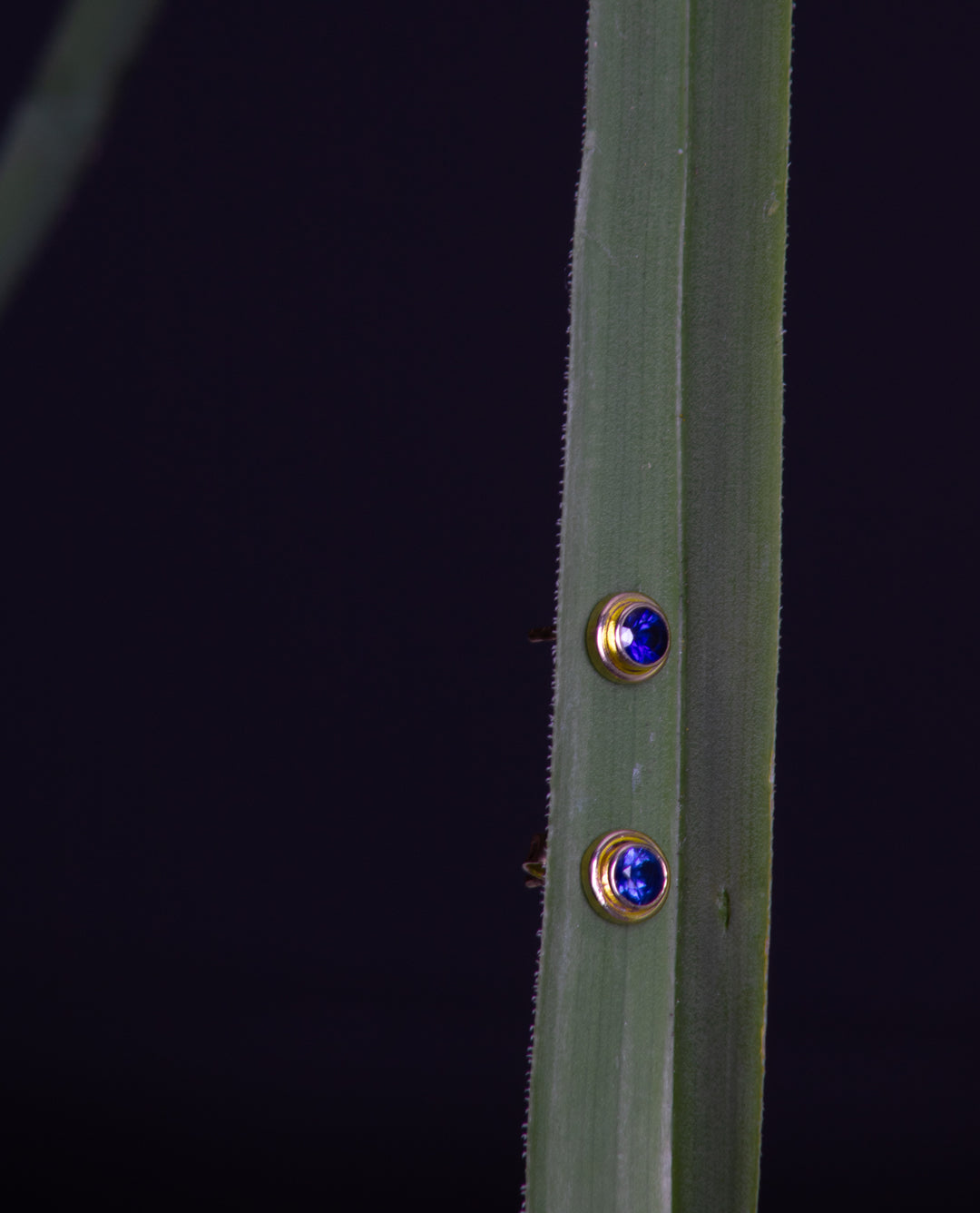 Sapphire Stud Earrings (B521)