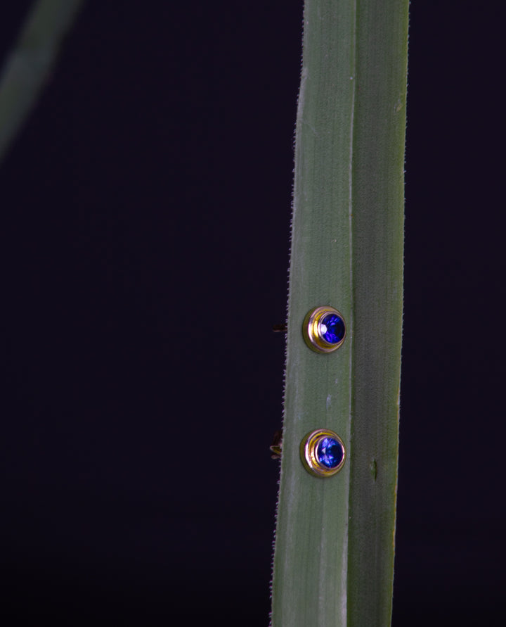 Sapphire Stud Earrings (B521)