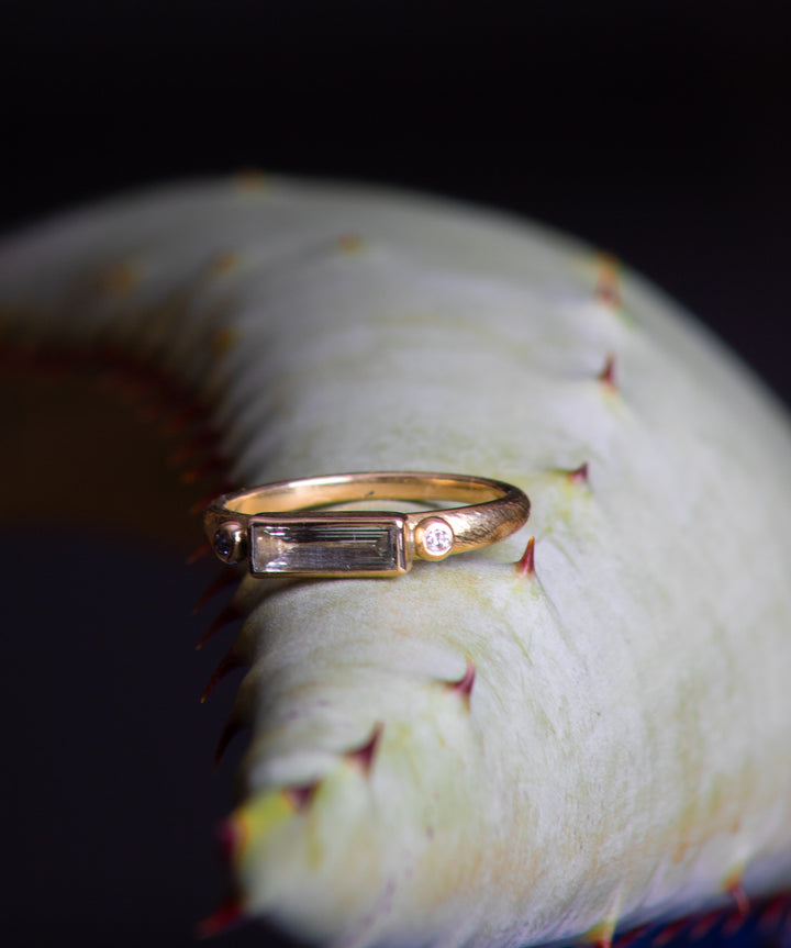 Baguette Diamond Ring with Diamond Accents (B622)