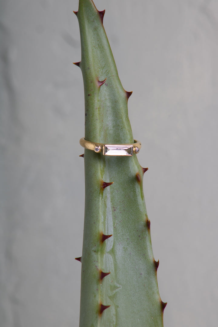 Baguette Diamond Ring with Diamond Accents (B622)