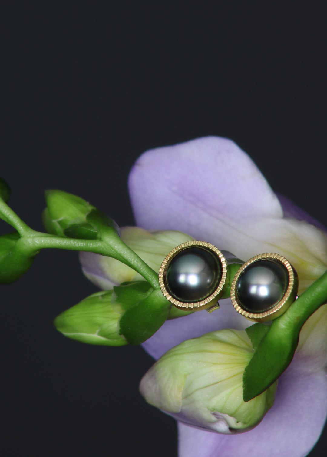 Tahitian Pearl Stud Earrings (B326)