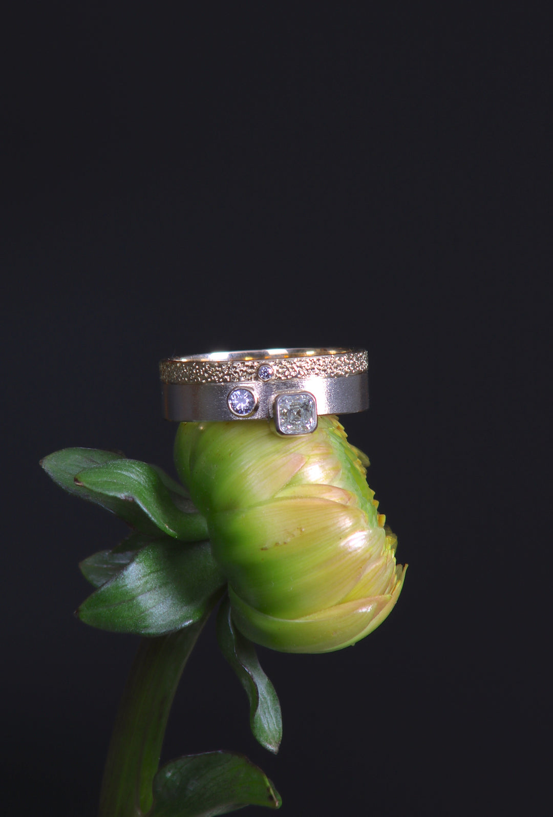 Mixed Metal and Diamond Ring (B123)