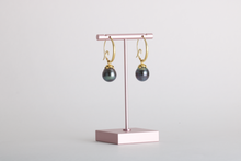 Load image into Gallery viewer, Tahitian Pearl Earrings 06211 - Ormachea Jewelry
