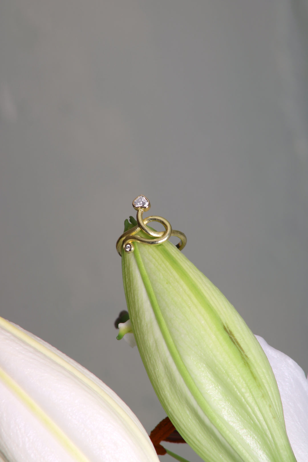 Diamond Snake Ring (08668) - Ormachea Jewelry