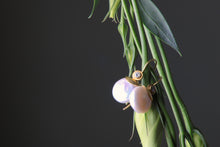 Load image into Gallery viewer, South Sea Pearl Earrings 07093 - Ormachea Jewelry
