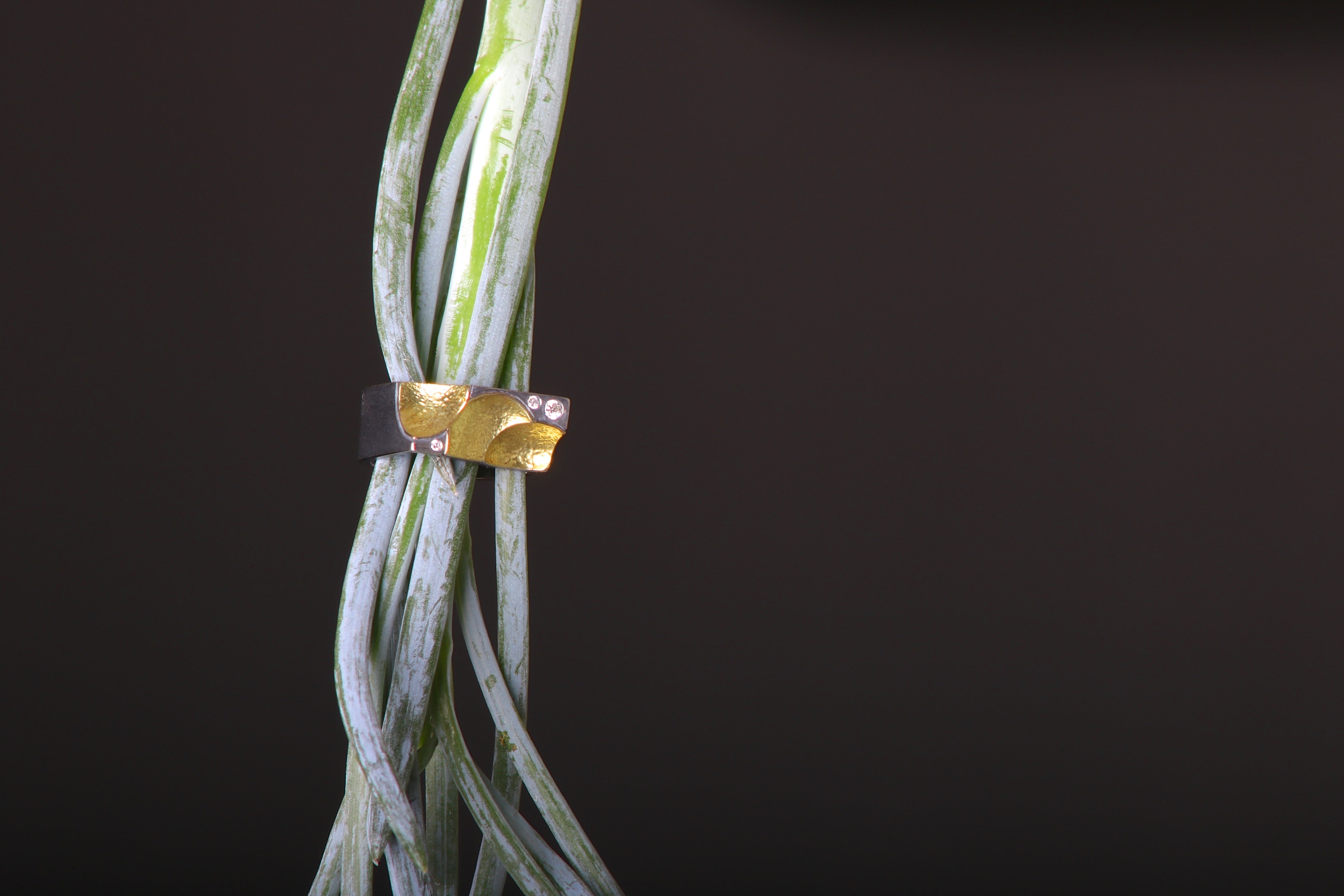 Carved Out Structural Ring (08823)
