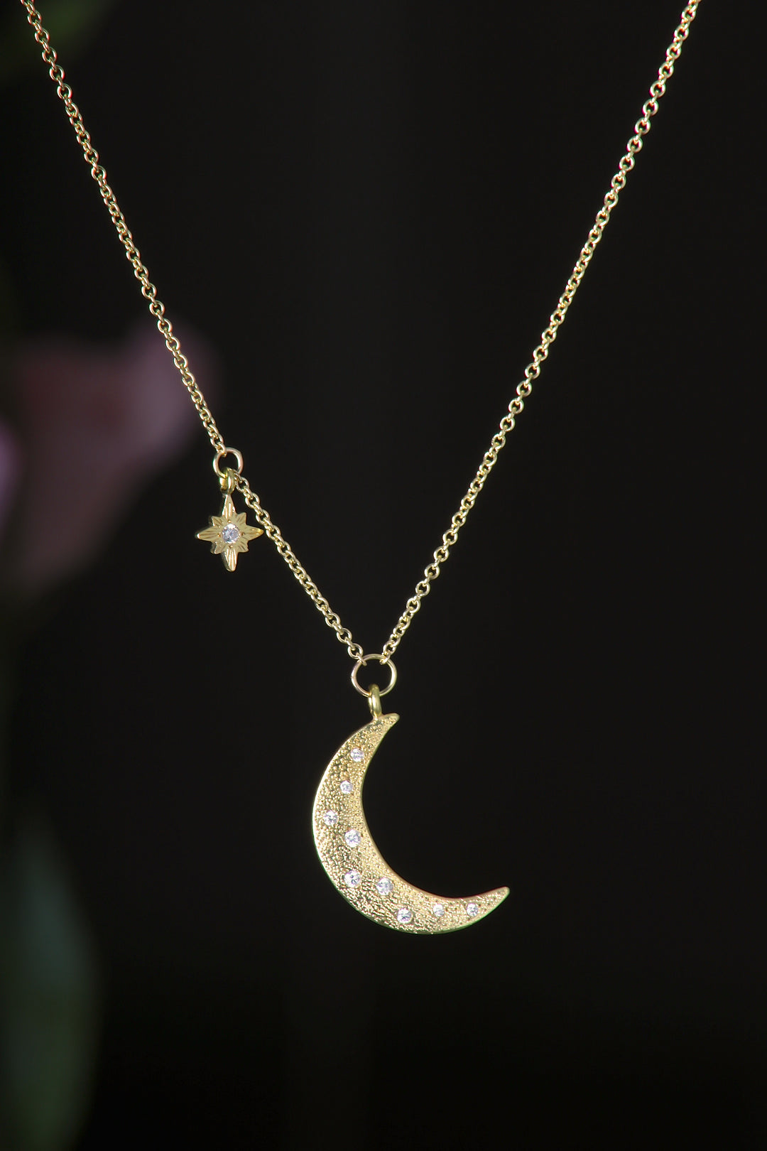 Crescent Moon and Star Charm Necklace (08826)