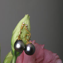 Load image into Gallery viewer, Tahitian Pearl and Diamond Earrings 07626 - Ormachea Jewelry
