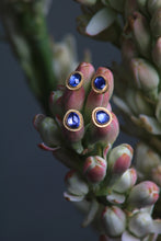 Load image into Gallery viewer, Rose Cut Sapphire Studs 07323 - Ormachea Jewelry
