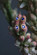 Load image into Gallery viewer, Rose Cut Sapphire Studs 07324 - Ormachea Jewelry
