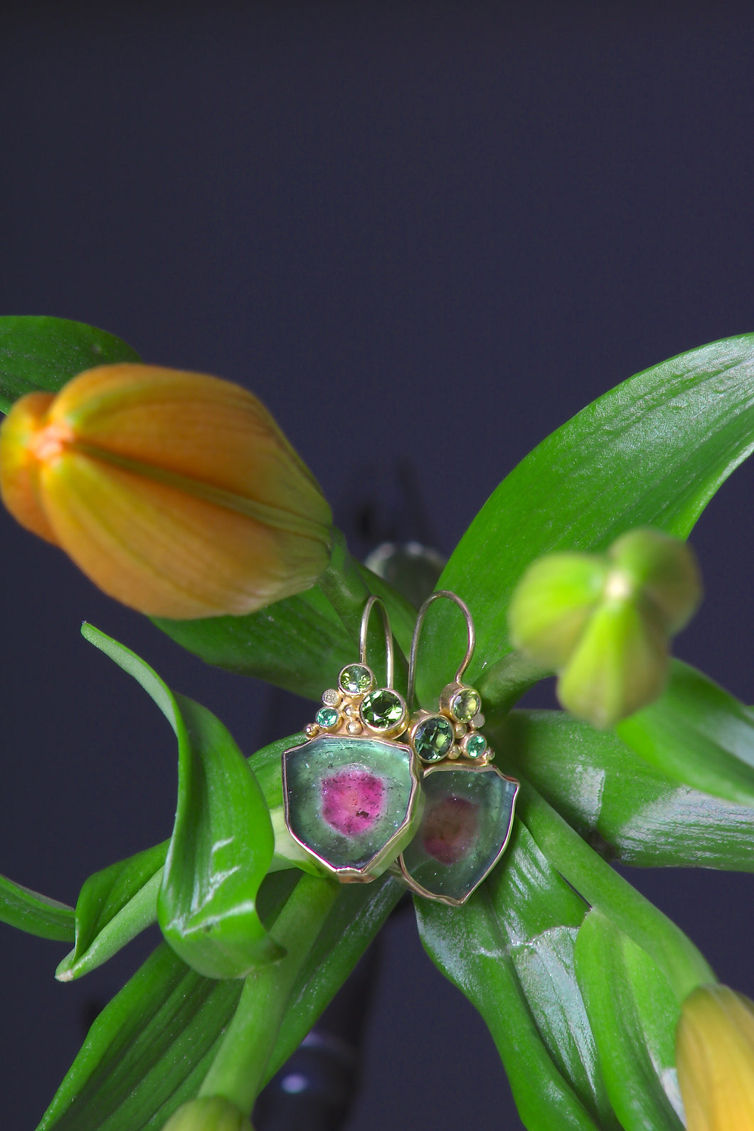 Watermelon Tourmaline Earrings (08895)