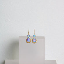 Load image into Gallery viewer, Opal Earrings (08918)
