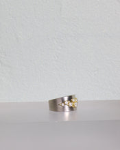 Load image into Gallery viewer, White Gold Nestled Diamond Ring (09049)
