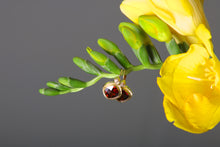 Load image into Gallery viewer, Garnet and Diamond Earrings (09065)
