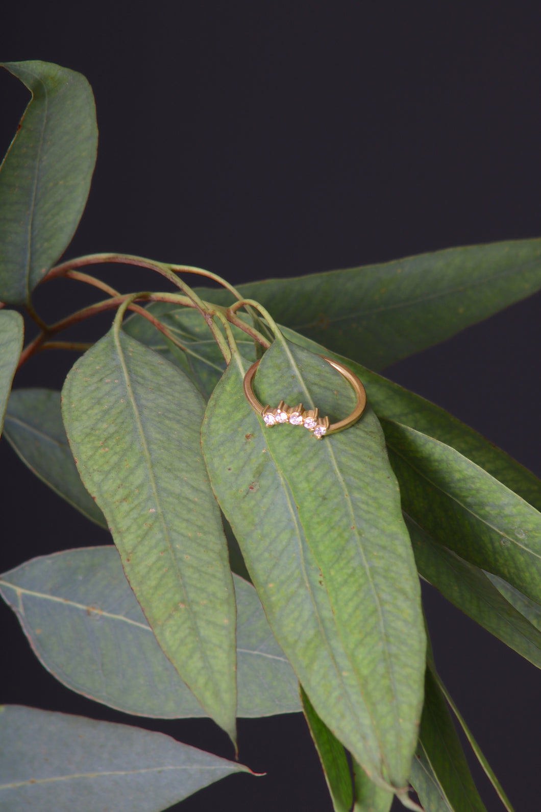 5 Diamond Crown Ring (08587) - Ormachea Jewelry
