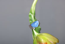 Load image into Gallery viewer, Rose Cut Aquamarine Ring (09115)
