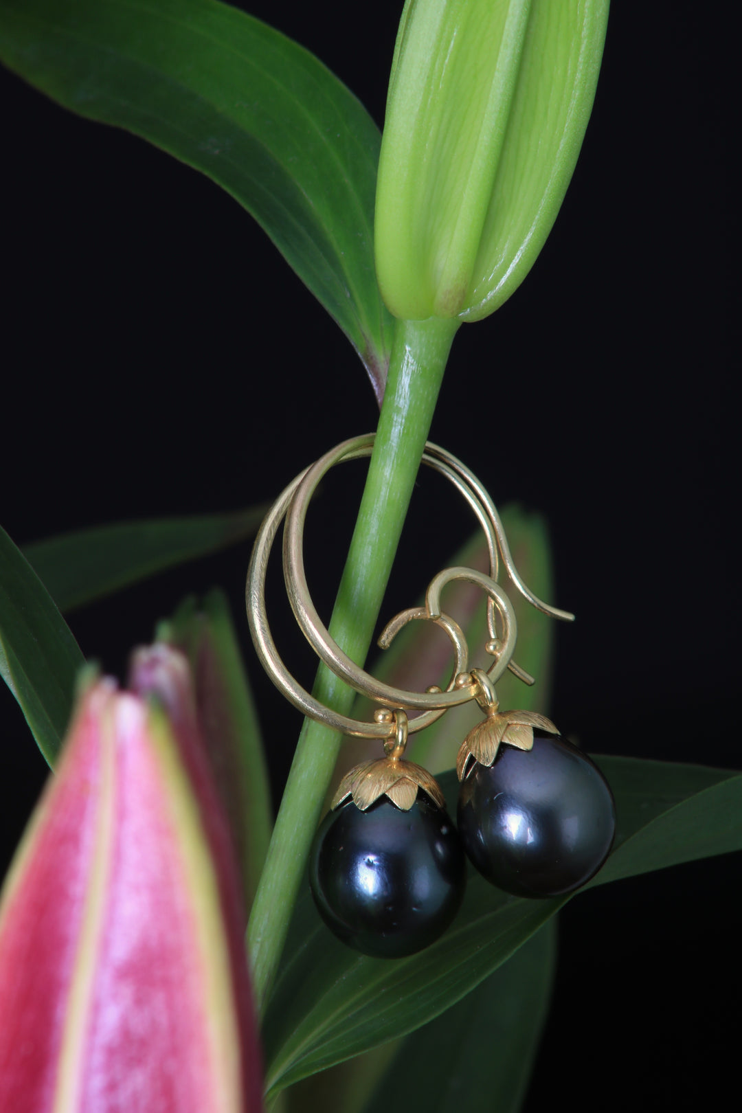 Tahitian Pearl Earrings 07872 - Ormachea Jewelry