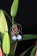 Load image into Gallery viewer, South Sea Pearl Earrings in White Gold 07873 - Ormachea Jewelry

