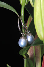 Load image into Gallery viewer, South Sea Pearl Earrings in White Gold 07873 - Ormachea Jewelry
