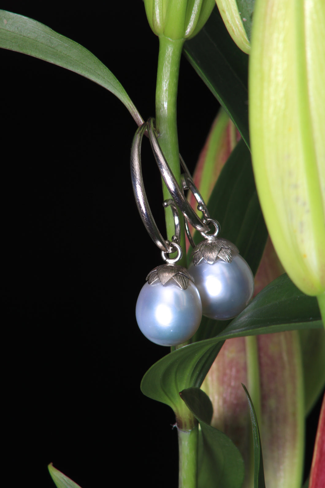 South Sea Pearl Earrings in White Gold 07873 - Ormachea Jewelry